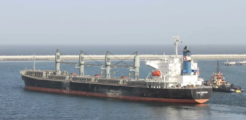 STAR OMICRON Bulk Carrier IMO 9313022 photo 8