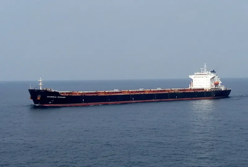 VAN CONTINENT Bulk Carrier IMO 9313060 photo 3