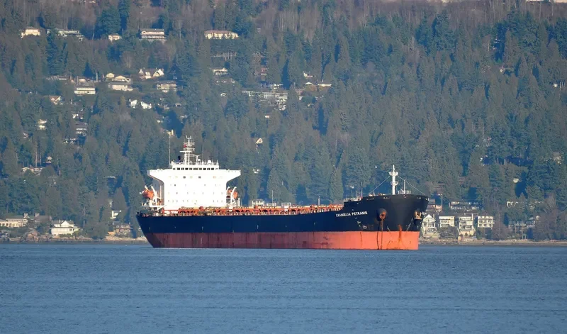 VAN CONTINENT Bulk Carrier IMO 9313060 photo 7