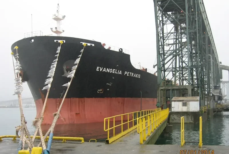 VAN CONTINENT Bulk Carrier IMO 9313060 photo 8