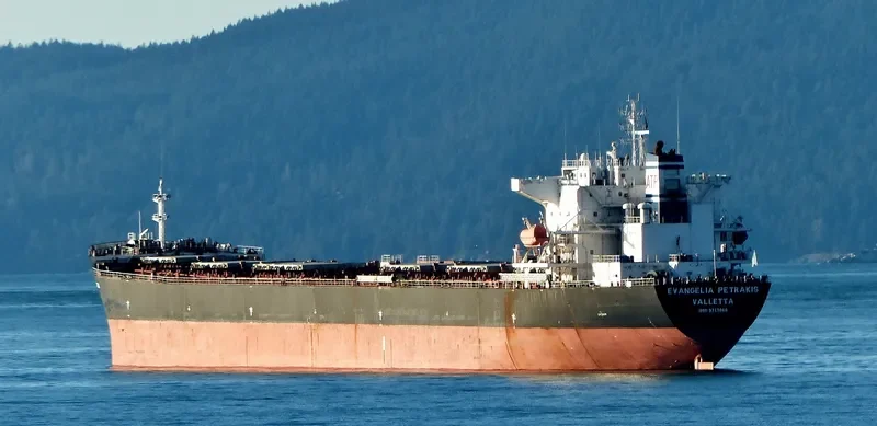 VAN CONTINENT Bulk Carrier IMO 9313060 photo 9