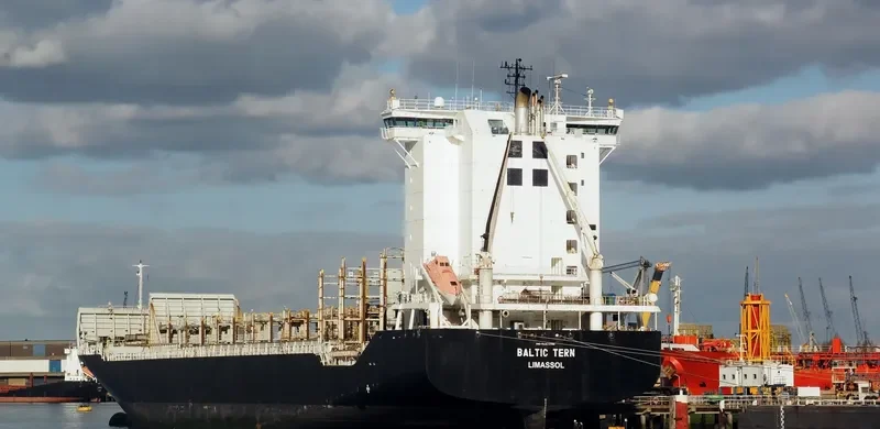 BALTIC TERN Container Ship IMO 9313199 photo 2