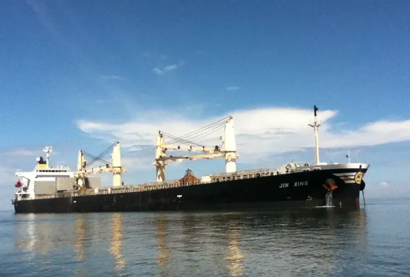 JIN XING Bulk Carrier IMO 9313278 photo 2