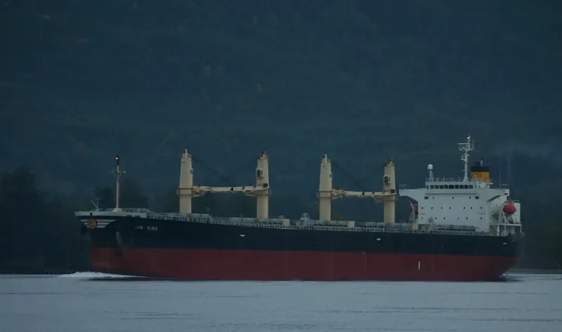 JIN XING Bulk Carrier IMO 9313278 photo 5