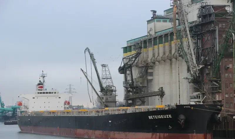 BETEIGEUZE Bulk Carrier IMO 9313280 photo 7