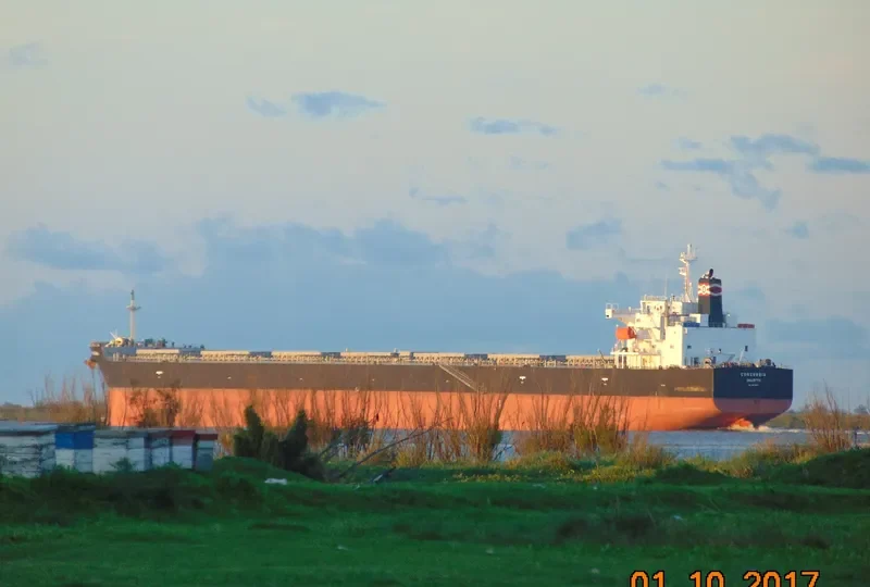 CONCORDIA Bulk Carrier IMO 9313292