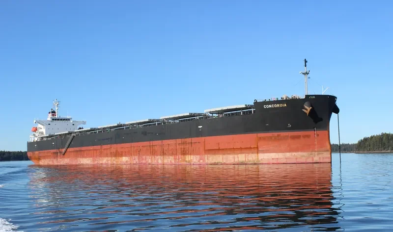 CONCORDIA Bulk Carrier IMO 9313292 photo 3