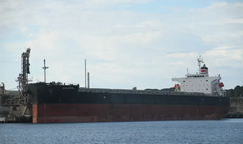 CONCORDIA Bulk Carrier IMO 9313292 photo 4