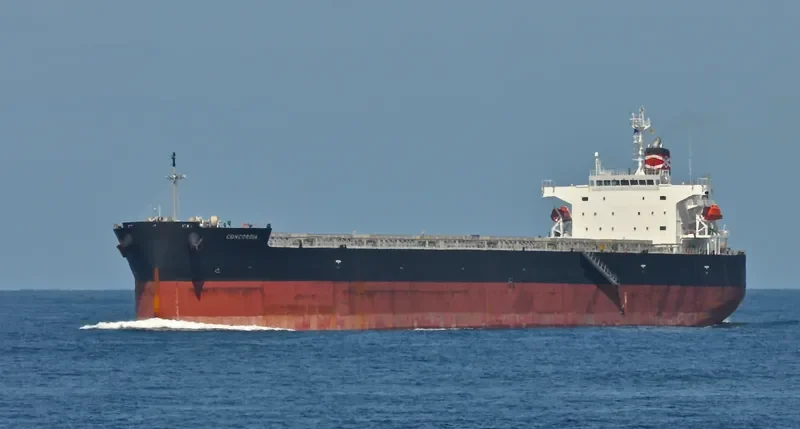 CONCORDIA Bulk Carrier IMO 9313292 photo 6