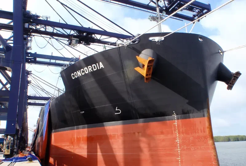 CONCORDIA Bulk Carrier IMO 9313292 photo 7