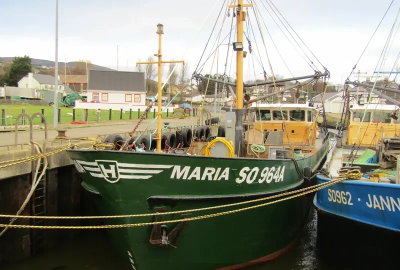 MARIA DOS ANXOS General Cargo IMO 9313321 photo 2