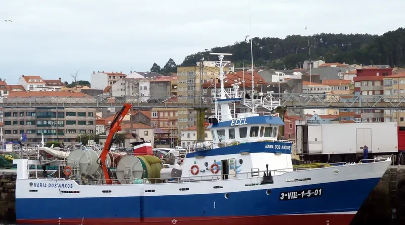MARIA DOS ANXOS General Cargo IMO 9313321 photo 9