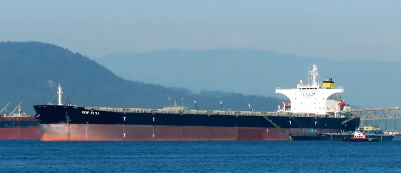 NEW ELIAS Bulk Carrier IMO 9313400 photo 4