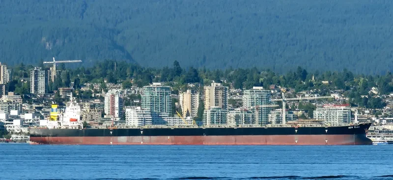 NEW ELIAS Bulk Carrier IMO 9313400 photo 5
