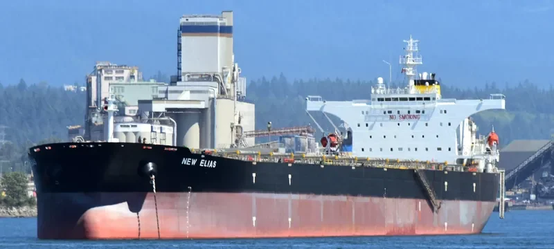 NEW ELIAS Bulk Carrier IMO 9313400 photo 6