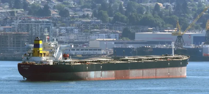 NEW ELIAS Bulk Carrier IMO 9313400 photo 10