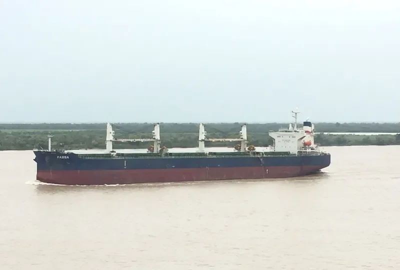 FASSA Bulk Carrier IMO 9313503