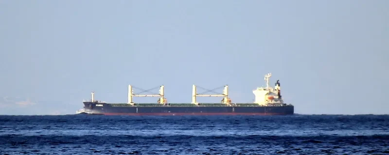 FASSA Bulk Carrier IMO 9313503 photo 2