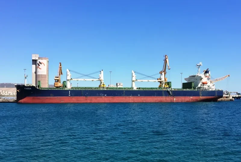 FASSA Bulk Carrier IMO 9313503 photo 5