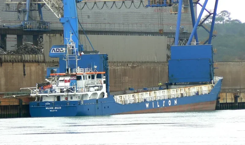 WILSON AVILES General Cargo IMO 9313709 photo 5