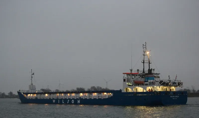 WILSON AVILES General Cargo IMO 9313709 photo 9