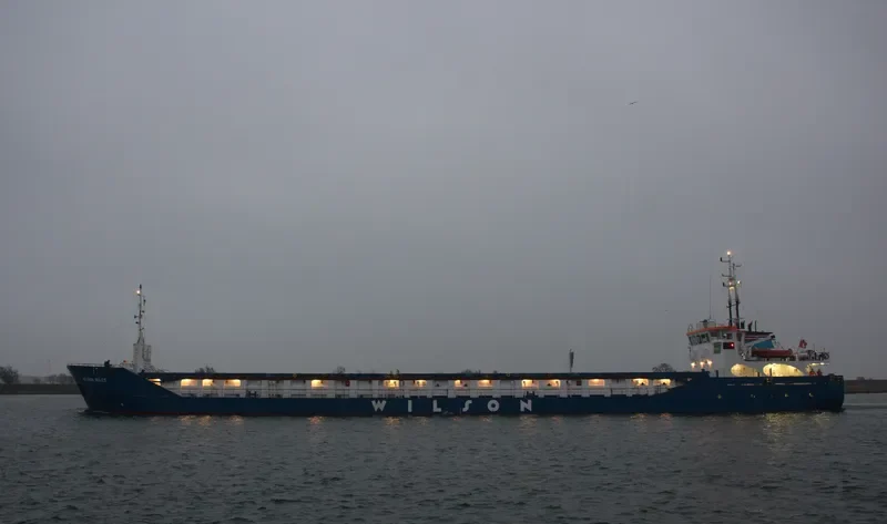WILSON AVILES General Cargo IMO 9313709 photo 10