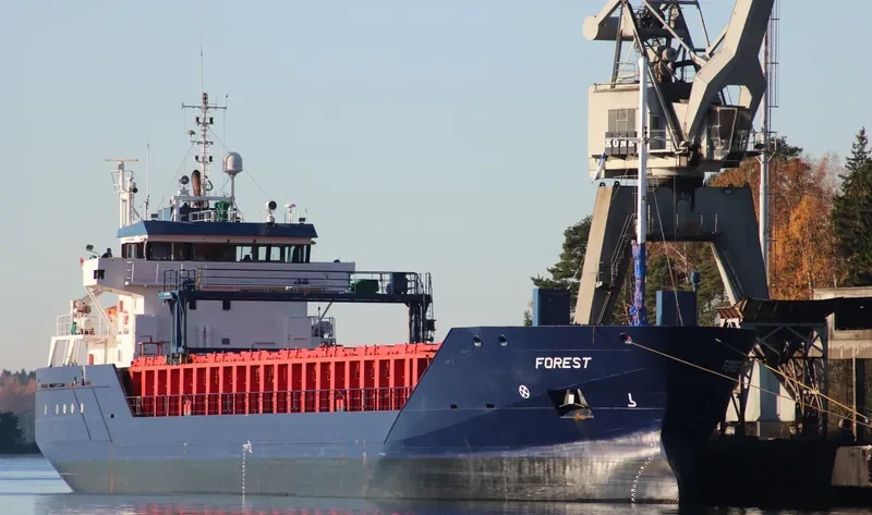 SILVAMAR General Cargo IMO 9313773 photo 4