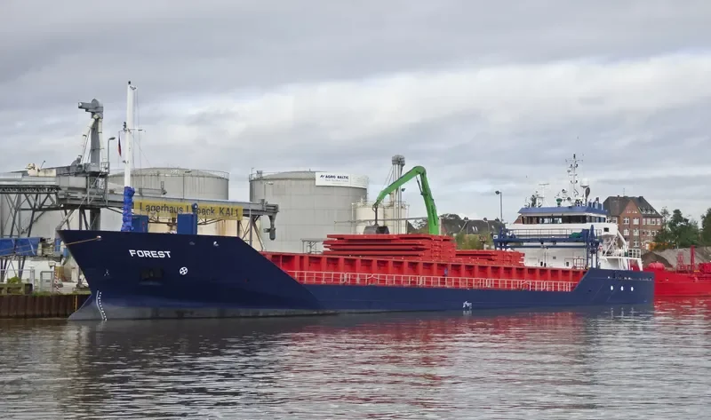 SILVAMAR General Cargo IMO 9313773 photo 8