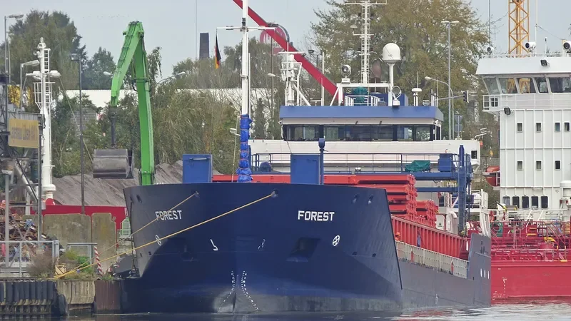 SILVAMAR General Cargo IMO 9313773 photo 9