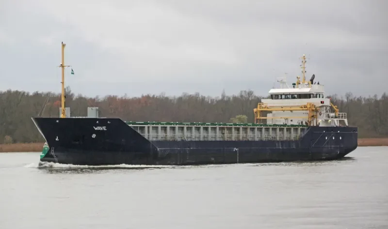 FERROMAR General Cargo IMO 9313785 photo 2