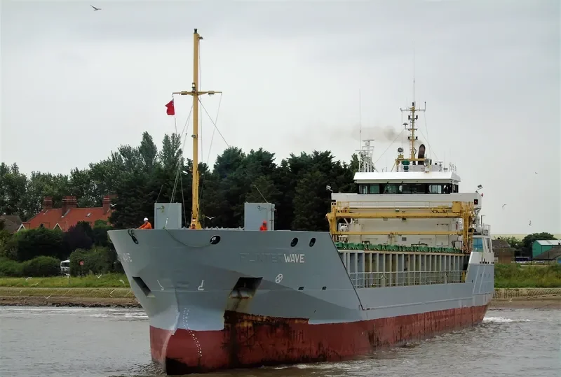 FERROMAR General Cargo IMO 9313785 photo 7