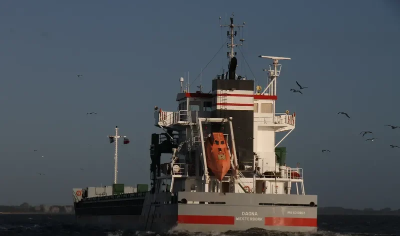 DAGNA General Cargo IMO 9313802