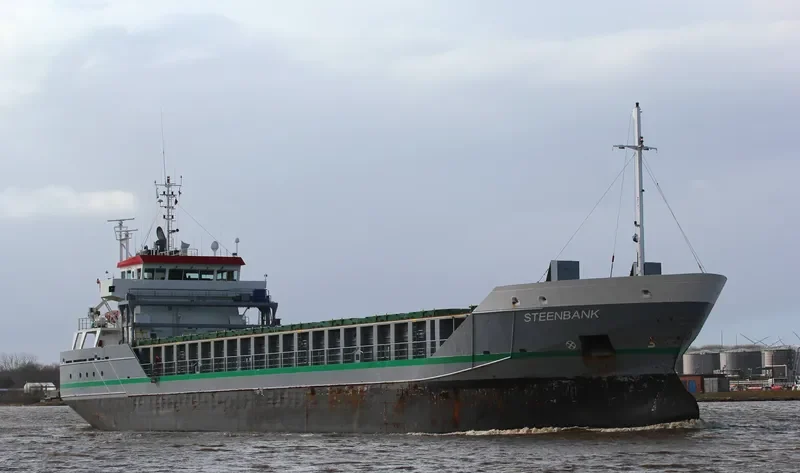 STEENBANK Container Ship IMO 9313876