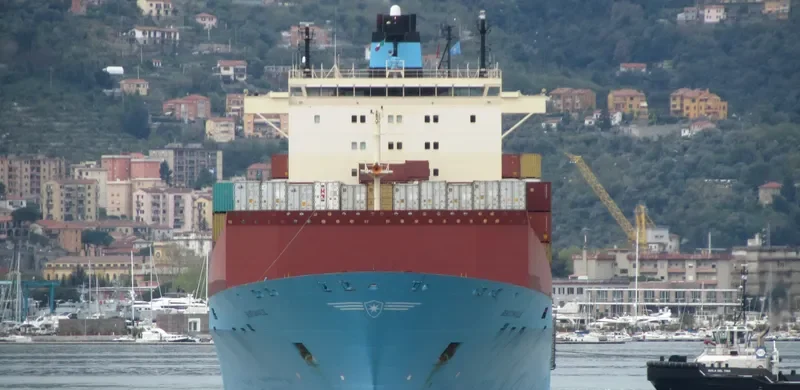 MAERSK BENTONVILLE Container Ship IMO 9313929