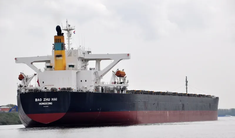 WINNING LOYALTY Bulk Carrier IMO 9314052 photo 8