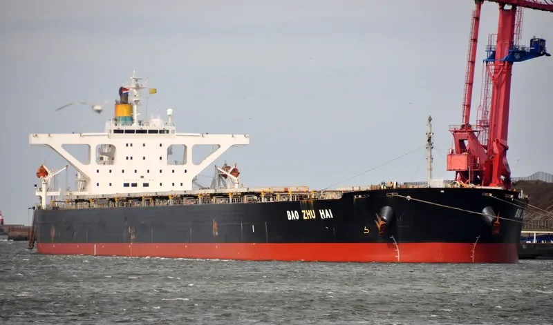 WINNING LOYALTY Bulk Carrier IMO 9314052 photo 10