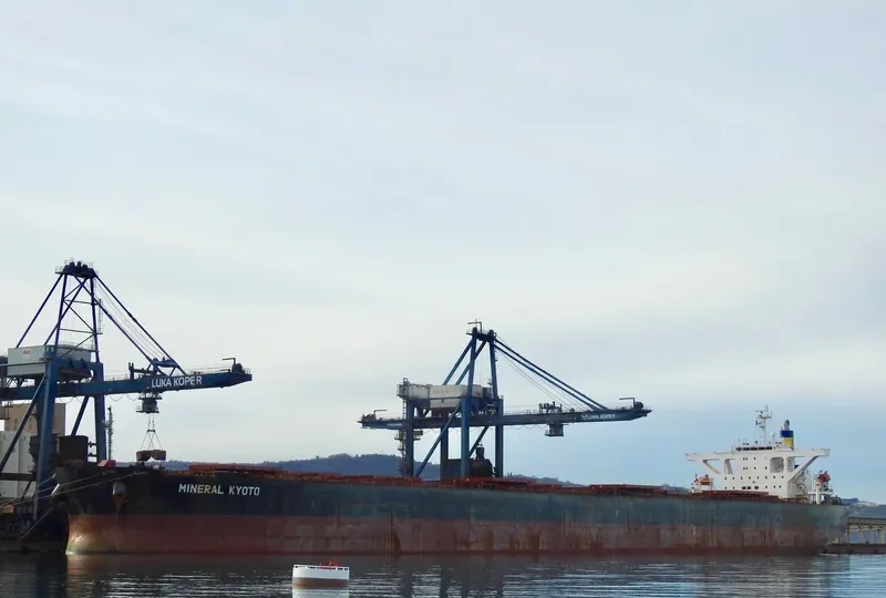 MINERAL KYOTO Bulk Carrier IMO 9314064 photo 2