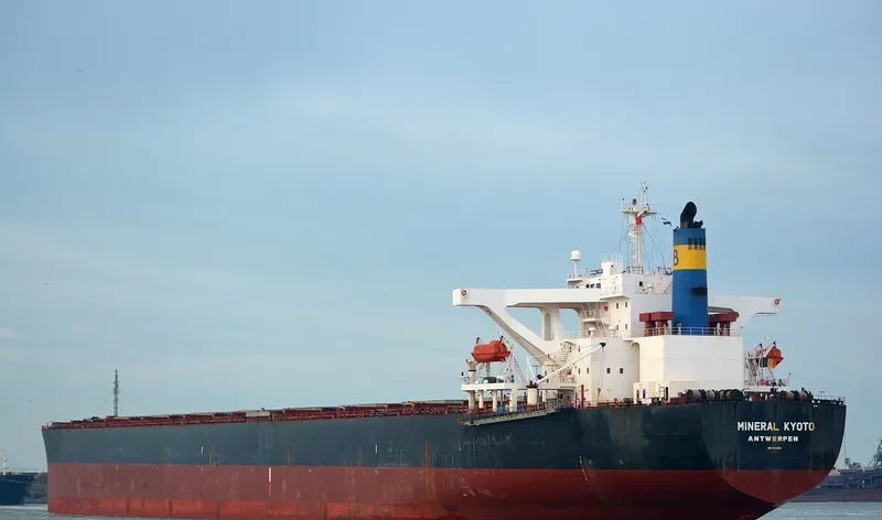 MINERAL KYOTO Bulk Carrier IMO 9314064 photo 6