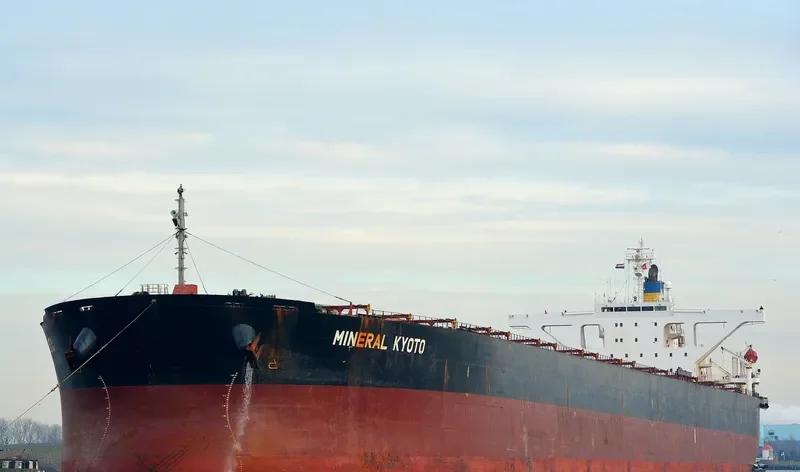 MINERAL KYOTO Bulk Carrier IMO 9314064 photo 7
