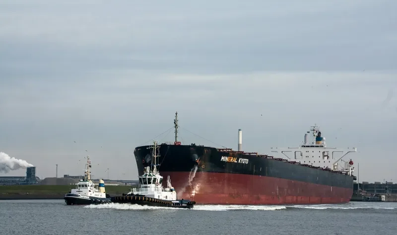 MINERAL KYOTO Bulk Carrier IMO 9314064 photo 8