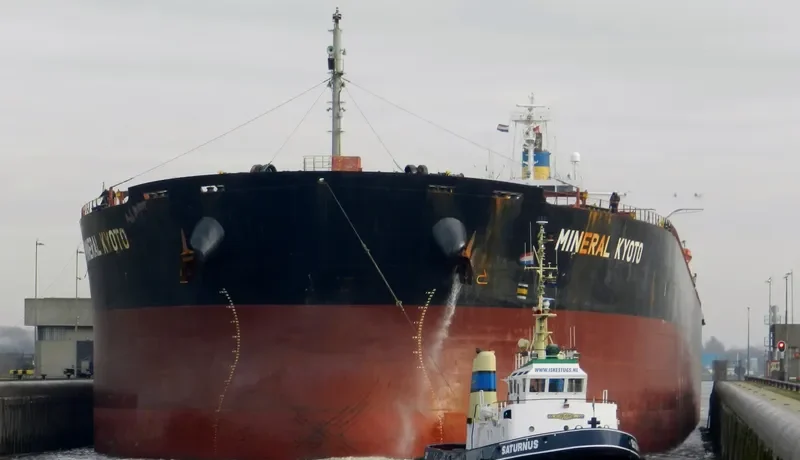 MINERAL KYOTO Bulk Carrier IMO 9314064 photo 10