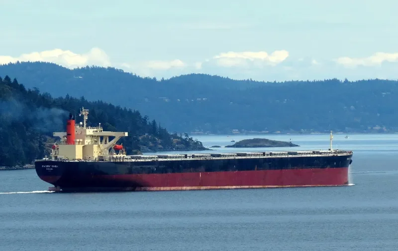WINNING FAITH Bulk Carrier IMO 9314076