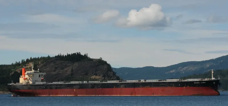 WINNING FAITH Bulk Carrier IMO 9314076 photo 2