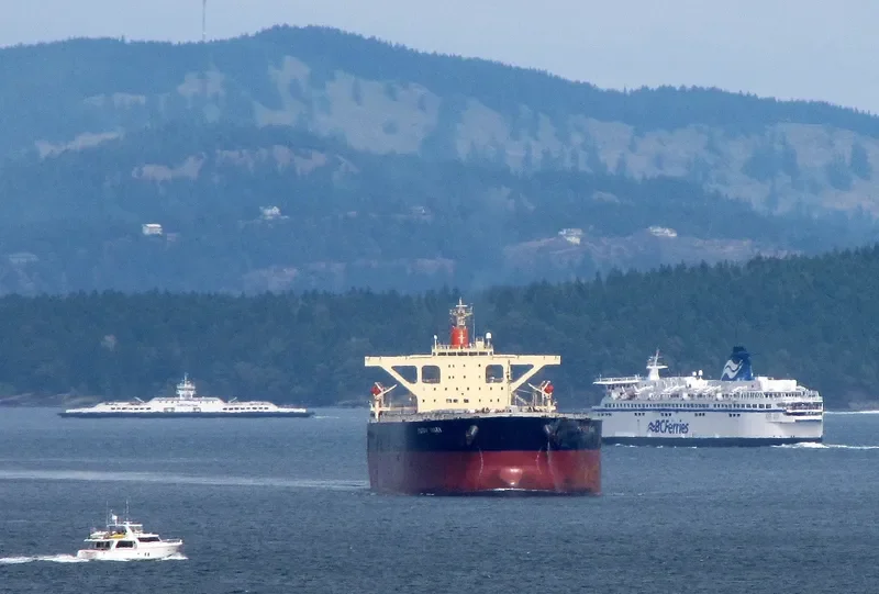 WINNING FAITH Bulk Carrier IMO 9314076 photo 3