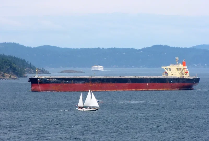 WINNING FAITH Bulk Carrier IMO 9314076 photo 4