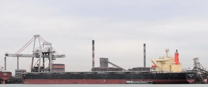 WINNING FAITH Bulk Carrier IMO 9314076 photo 9