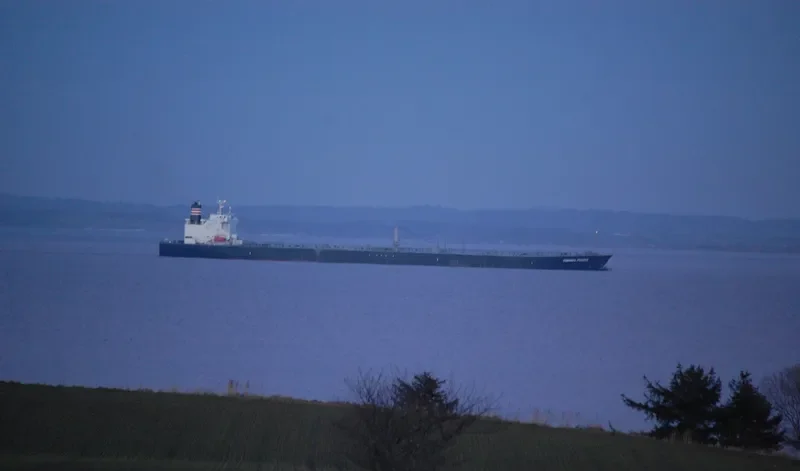 SONGA CORAL Tanker IMO 9314105 photo 10
