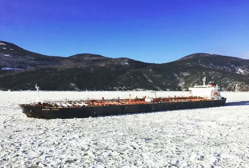 BROOK TROUT Tanker IMO 9314181