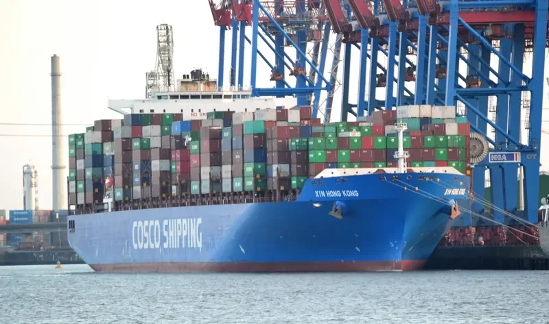 XIN HONG KONG Container Ship IMO 9314222