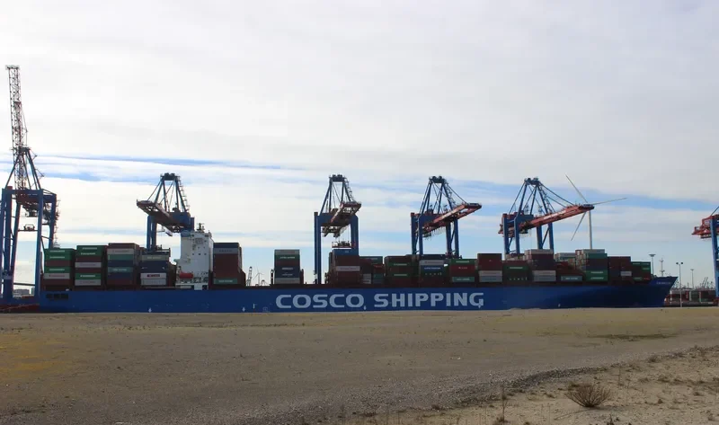 XIN HONG KONG Container Ship IMO 9314222 photo 2